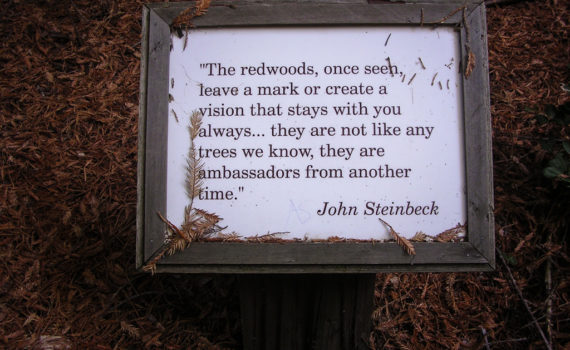 John Steinbeck quote