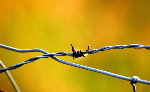 Barbed wire risk