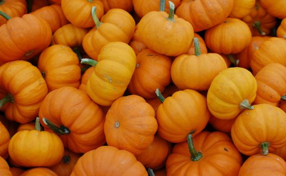 October - Pumpkins